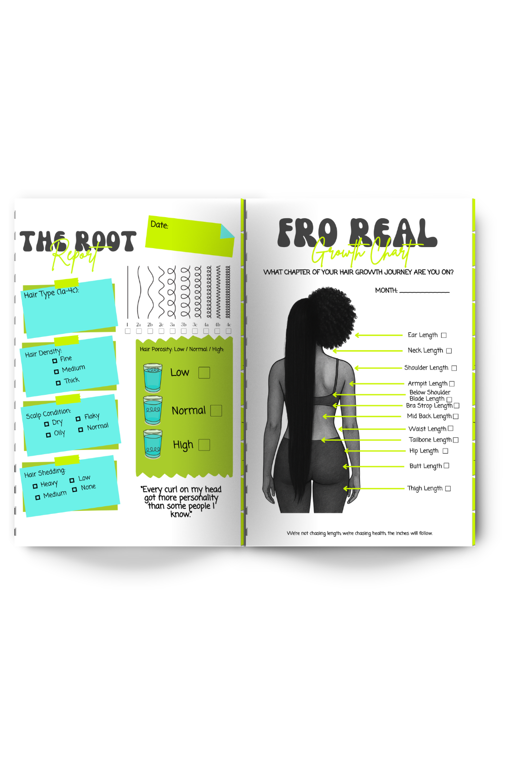 Fro Real, Im Growing Digital Hair Journal